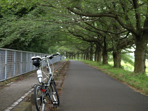 E-SYS_20120722_013.jpg