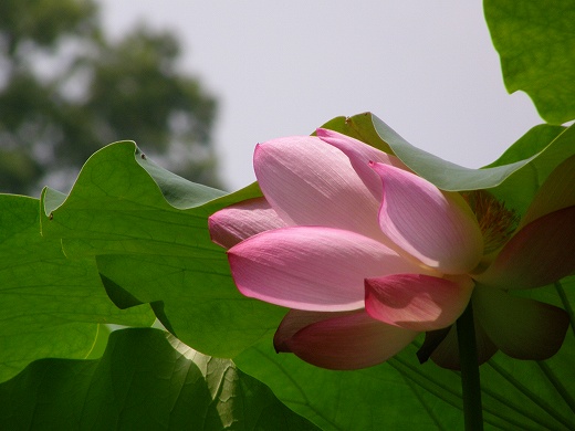 E-SYS_20120811_019.jpg