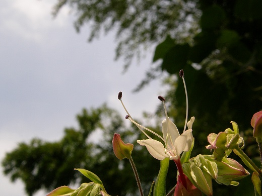 E-SYS_20120811_020.jpg