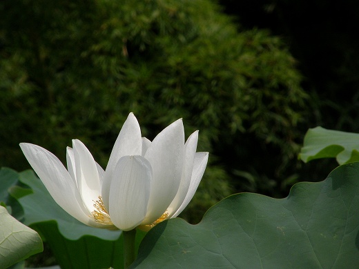 E-SYS_20120811_037.jpg