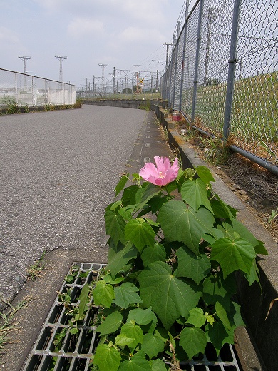 E-SYS_20120811_045.jpg