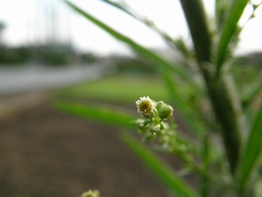 E-SYS_20120902_014.jpg