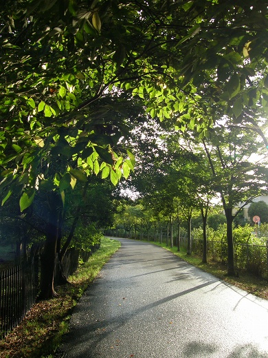 E-SYS_20120902_032.jpg