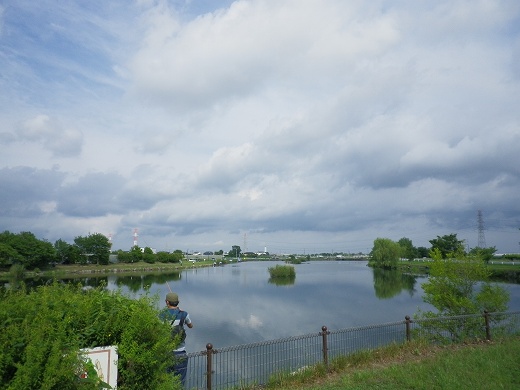 H90_3685.jpg