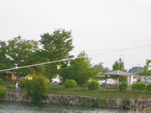 H90_3698.jpg