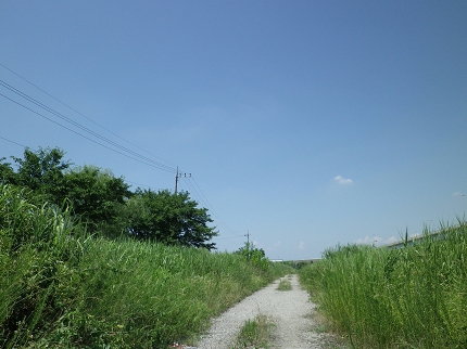 IMGP0207.jpg