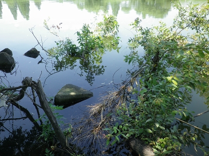IMGP0210.jpg