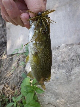 IMGP0211.jpg
