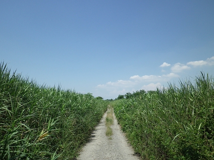 IMGP0216.jpg