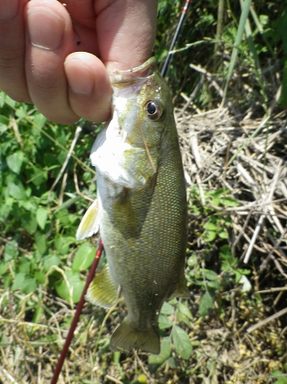 IMGP0221.jpg