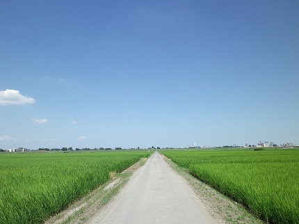 IMGP0222.jpg