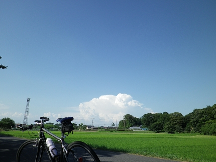 IMGP0223.jpg