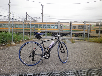 IMGP1206.jpg