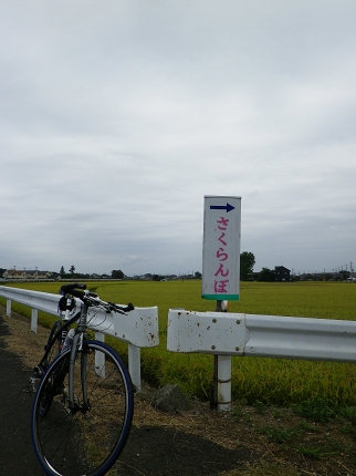 IMGP1208.jpg
