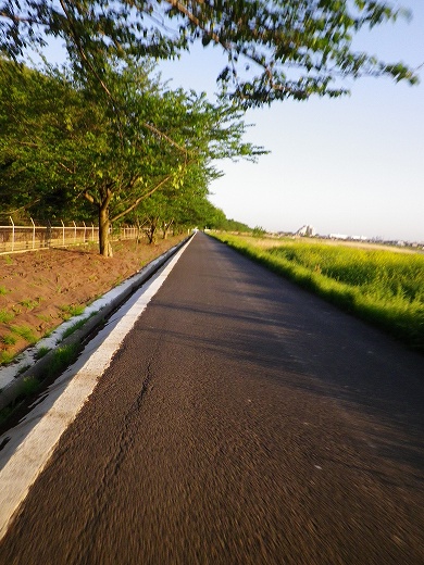 IMGP2378.jpg