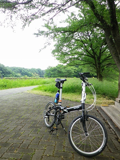 dahon metro d6