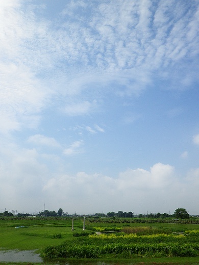IMGP2855.jpg