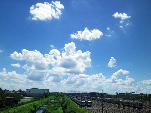 IMGP2880.jpg