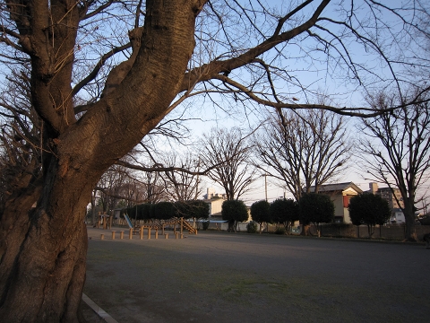 IMG_1524.jpg