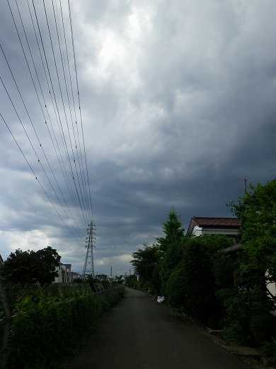 RZ10_IMGP3772.jpg