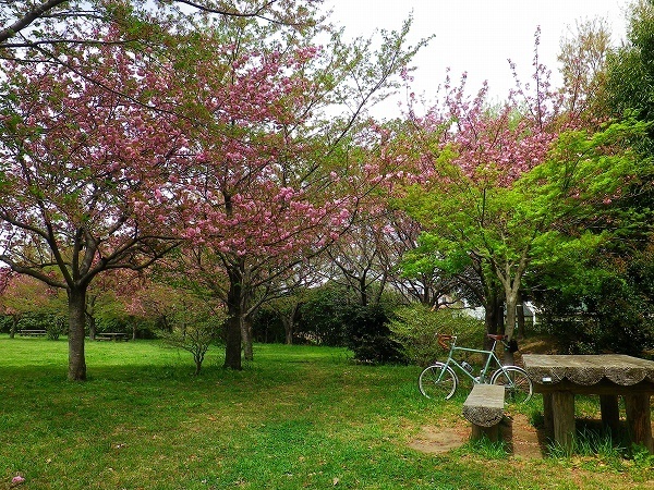 RZ180407006.jpg