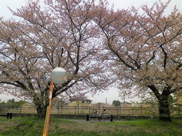 RZ190414024.jpg