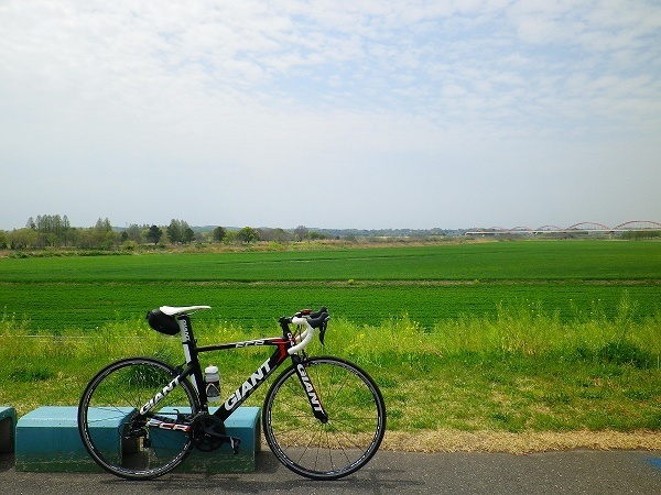 RZ190421012.jpg