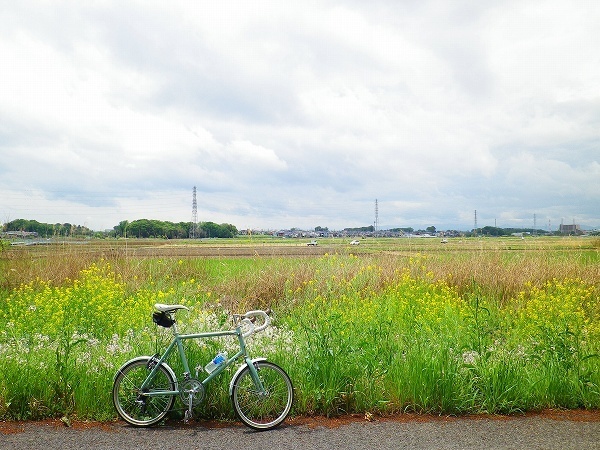 RZ190427003.jpg