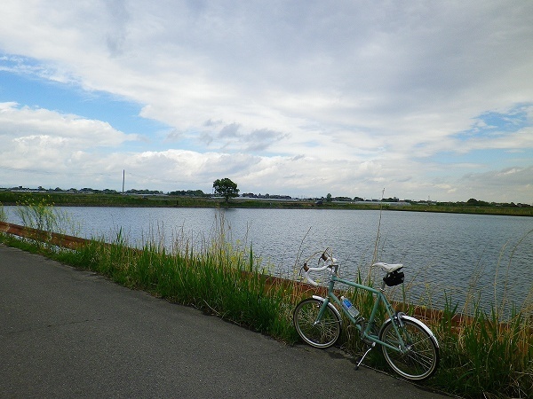 RZ190427005.jpg