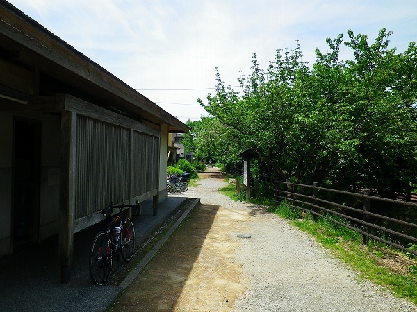 RZ190503006.jpg