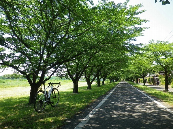 RZ190525012.jpg