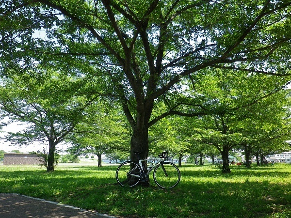 RZ190525013.jpg