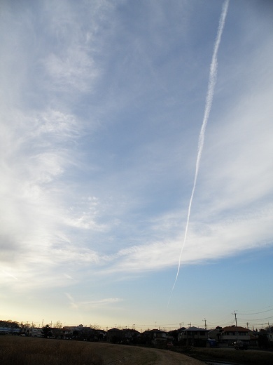 SP570_20130105_014.jpg