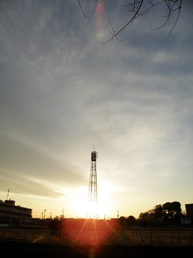 SP570_20130105_025.jpg