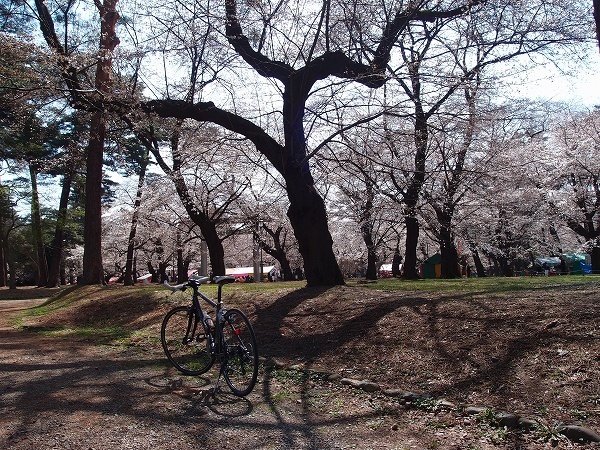 XZ180324001.jpg