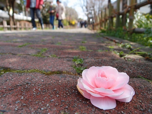 XZ180324012.jpg