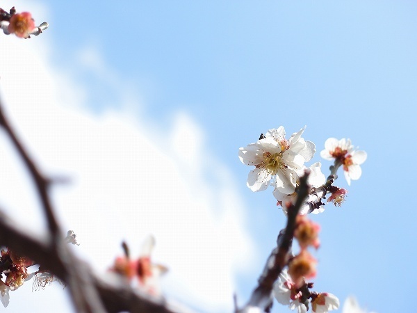XZ180324020.jpg