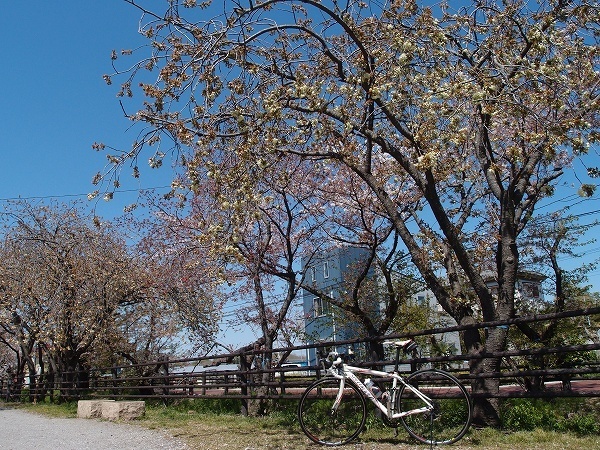 XZ190413048.jpg