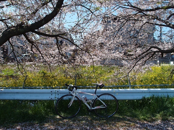 XZ190413080.jpg