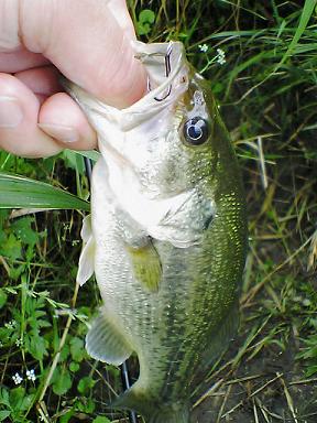 200907604_2.JPG