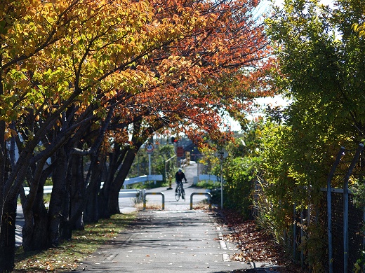 E510-20121110-23.jpg