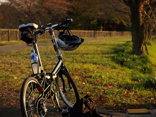 E510-20121124-18.jpg
