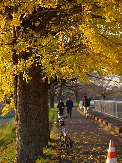 E510-20121124-40.jpg