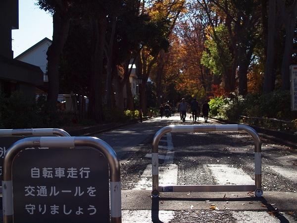 E62-191208096.jpg