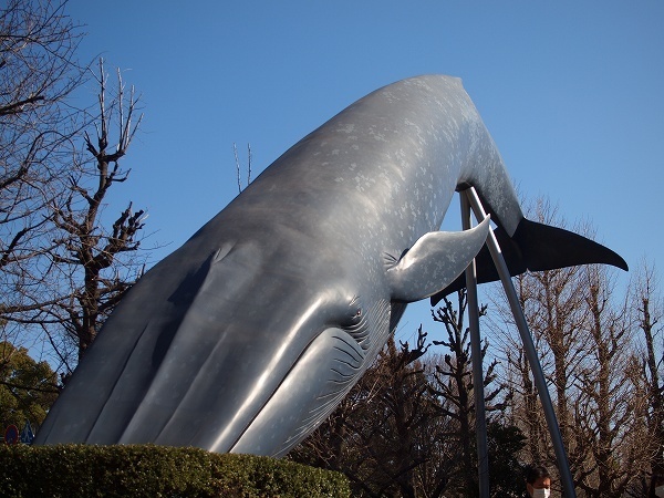 E62-200208105.jpg