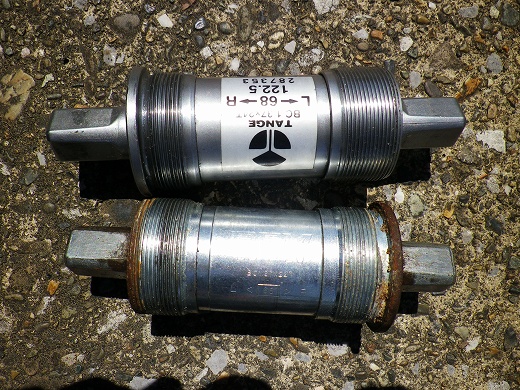 IMGP5104.jpg