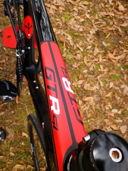 IMGP6875.jpg