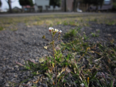 IMG_1880.jpg