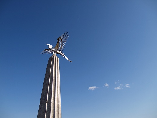P1293190.jpg