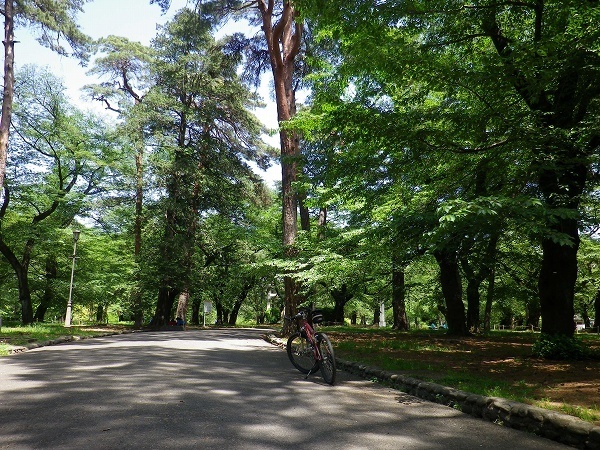 RZ170502009.jpg